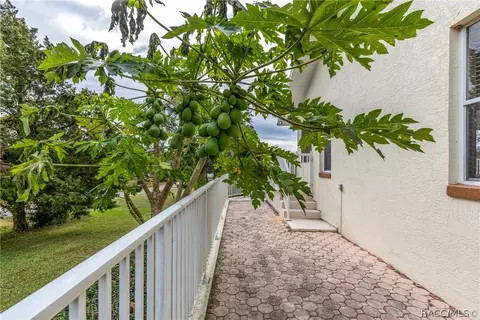 408 E Hartford St, Hernando, FL 34442 photo 9