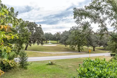 408 E Hartford St, Hernando, FL 34442 photo 29
