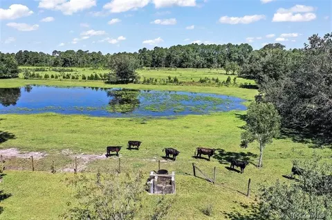 6350 NE 86th Ave, Bronson, FL 32621 photo 46