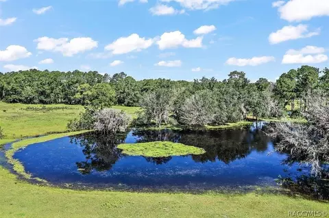 6350 NE 86th Ave, Bronson, FL 32621 photo 44