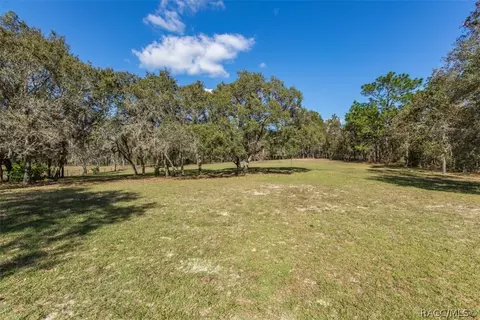 1815 E Fletcher St, Hernando, FL 34442 photo 44