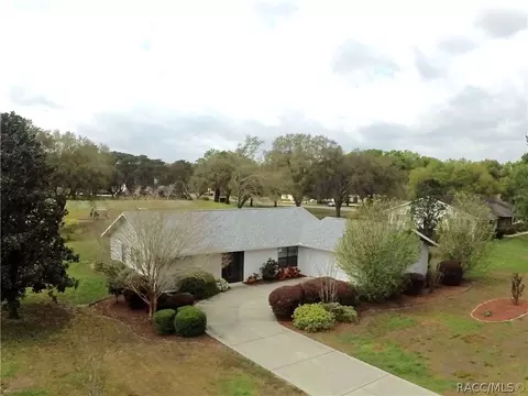 90 E Falconry Ct, Hernando, FL 34442 photo 1