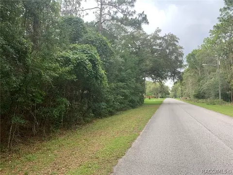 1626 W Pearson St, Hernando, FL 34442 photo 4
