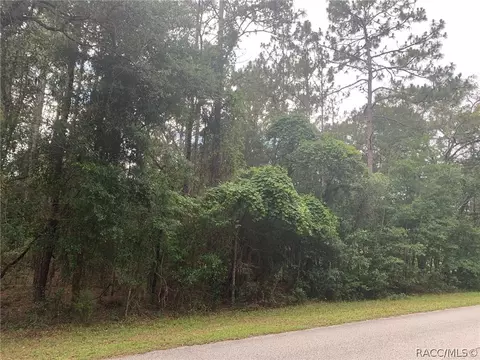 1626 W Pearson St, Hernando, FL 34442 photo 3