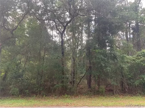 1626 W Pearson St, Hernando, FL 34442 photo 2