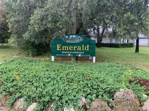 1626 W Pearson St, Hernando, FL 34442 photo 5