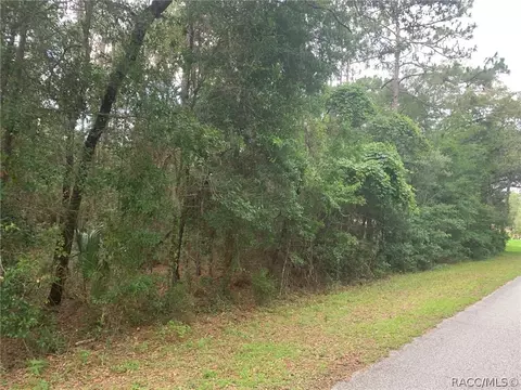 1626 W Pearson St, Hernando, FL 34442 photo 1