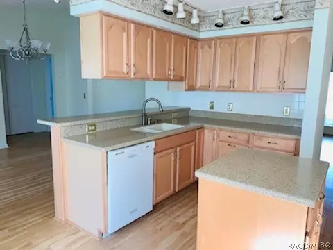 502 E Lancaster St, Lecanto, FL 34461 photo 19