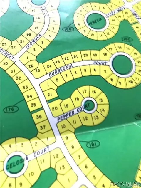 4 Rudbeckia Ct, Homosassa, FL 34446