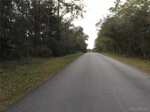 1164 W Olympia St, Hernando, FL 34442 photo 8