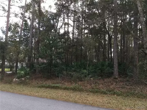 1164 W Olympia St, Hernando, FL 34442 photo 10