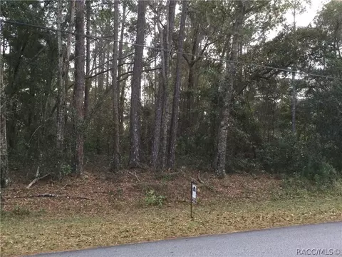 1164 W Olympia St, Hernando, FL 34442 photo 9
