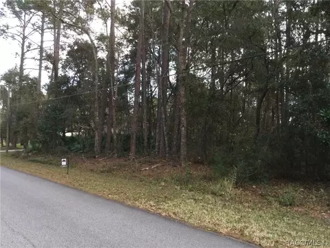 1164 W Olympia St, Hernando, FL 34442 photo 6