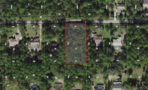 1164 W Olympia St, Hernando, FL 34442 photo 3