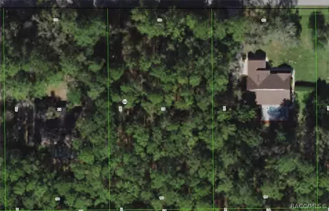 1164 W Olympia St, Hernando, FL 34442 photo 2