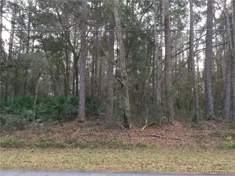 1164 W Olympia St, Hernando, FL 34442 photo 11