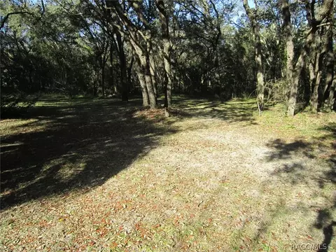 335 W Olympia St, Hernando, FL 34442 photo 38