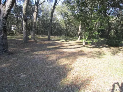 335 W Olympia St, Hernando, FL 34442 photo 37