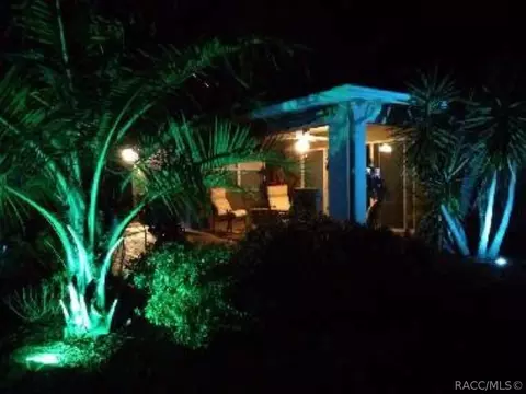 3682 Egret Cove Ct, Hernando, FL 34442 photo 3