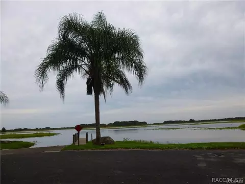 3682 Egret Cove Ct, Hernando, FL 34442 photo 50