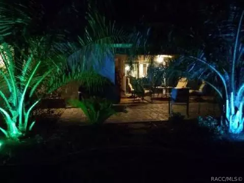 3682 Egret Cove Ct, Hernando, FL 34442 photo 45