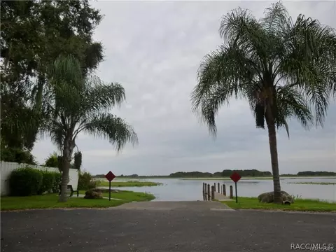 3682 Egret Cove Ct, Hernando, FL 34442 photo 48