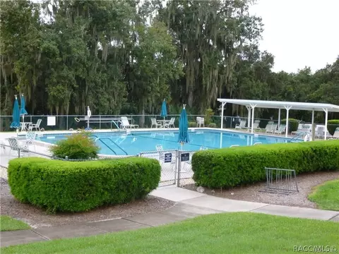 3682 Egret Cove Ct, Hernando, FL 34442 photo 47