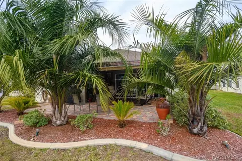 3682 Egret Cove Ct, Hernando, FL 34442 photo 19