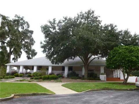 3682 Egret Cove Ct, Hernando, FL 34442 photo 46