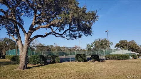 7168 N Whippoorwill Ter, Hernando, FL 34442 photo 31