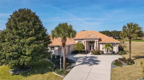 407 W Mickey Mantle Path, Hernando, FL 34442 photo 1