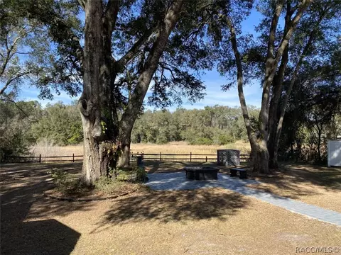 6508 N Iris Dr, Hernando, FL 34442 photo 11