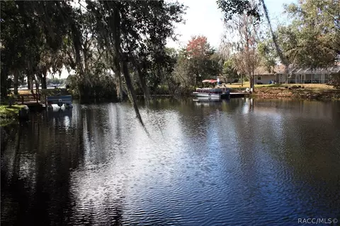 3811 E Garnet Loop, Hernando, FL 34442 photo 36