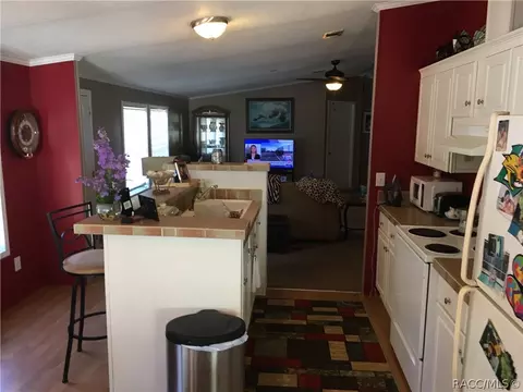 1778 N Mooneys Pt, Hernando, FL 34442 photo 19