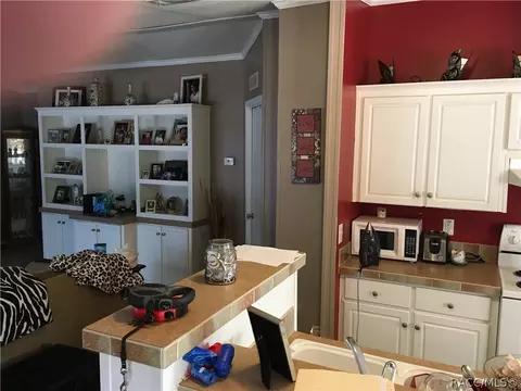1778 N Mooneys Pt, Hernando, FL 34442 photo 15