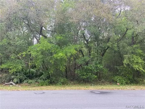 1253 E Winnetka St, Hernando, FL 34442 photo 2