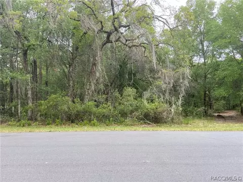 1253 E Winnetka St, Hernando, FL 34442 photo 1