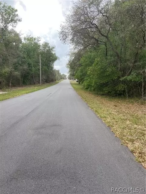 1253 E Winnetka St, Hernando, FL 34442 photo 3