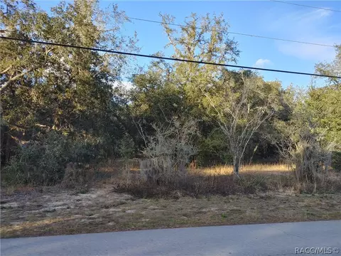 633 W Pearson St, Hernando, FL 34442 photo 7