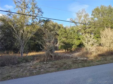633 W Pearson St, Hernando, FL 34442 photo 9
