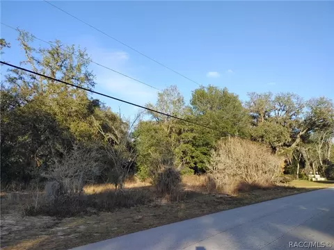 633 W Pearson St, Hernando, FL 34442 photo 6