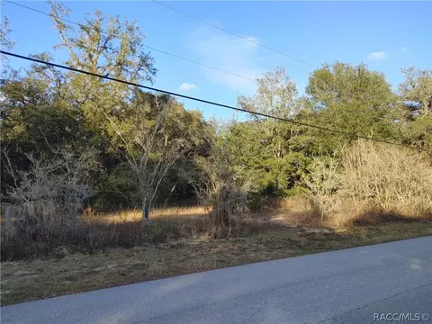 633 W Pearson St, Hernando, FL 34442 photo 8