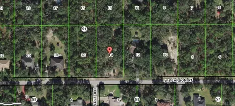 633 W Pearson St, Hernando, FL 34442 photo 1