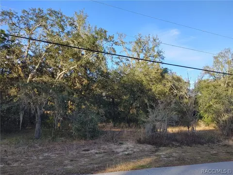 633 W Pearson St, Hernando, FL 34442 photo 5