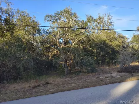 633 W Pearson St, Hernando, FL 34442 photo 3