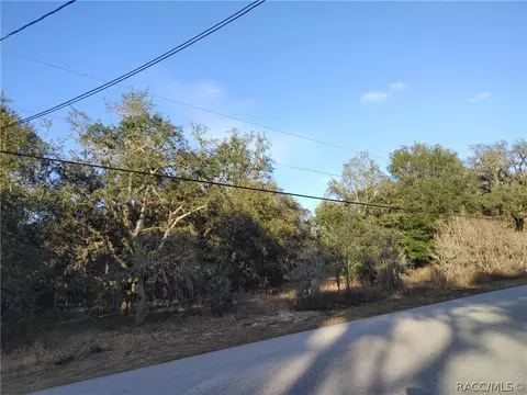 633 W Pearson St, Hernando, FL 34442 photo 2
