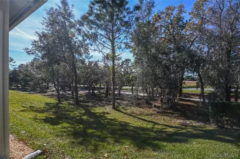 1952 N Gibson Pt, Hernando, FL 34442 photo 41