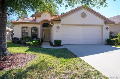 1082 W Skyview Crossing Dr, Hernando, FL 34442 photo 1