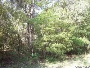 540 E Stratford Rd, Lecanto, FL 34461 photo 1