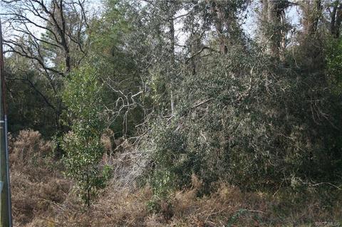 618 E Savoy St S, Lecanto, FL 34461 photo 6
